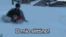 Slittino Slitta Neve Inverno Cane Da Slitta Ladro Di Slittini GIF - Sledge Snow Winter GIFs
