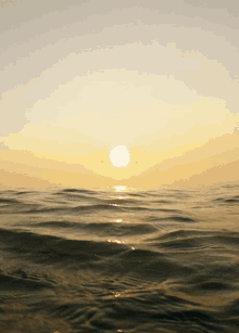 In The Water Sea GIF - In The Water Sea Ocean GIFs