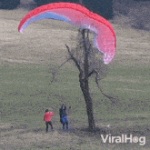 Stuck In A Tree Viralhog GIF - Stuck In A Tree Viralhog Stuck Parachute GIFs
