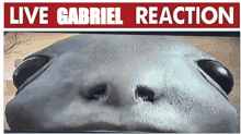 Gabriel Henrique React GIF - Gabriel Henrique React GIFs