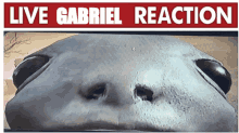 Gabriel Henrique React GIF