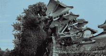 Godzilla Destroy GIF - Godzilla Destroy Ruins GIFs