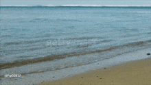 a person standing on a beach with the word getty images visible