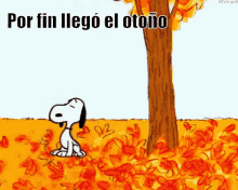 Snoopy Por Fin Llegó El Otoño Hojas árbol GIF - Snoopy Por Fin Llego El Otono Otono GIFs