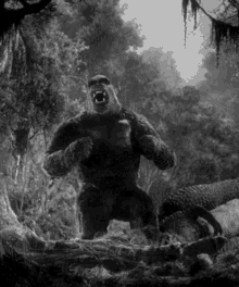 King Kong GIF - King Kong King Kong GIFs