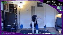 meghan caves streamer twitc yoga level up your dex