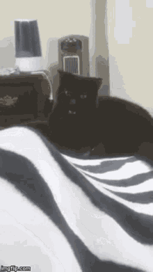 Power Up Bite GIF - Power Up Bite Black Cat GIFs