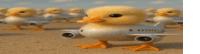 a group of chicks standing next to each other in the shape of airplanes .