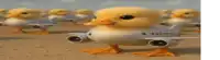 a group of chicks standing next to each other in the shape of airplanes .
