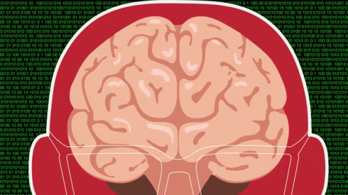 Brain Thinking GIF - Brain Thinking Stroetenga - Discover & Share GIFs