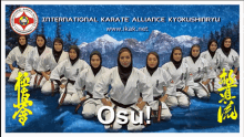 Karate Ikak GIF - Karate Ikak Kyokushin Ryu GIFs