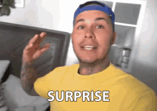 Surprise Reveal GIF - Surprise Reveal Present GIFs