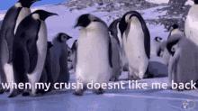 Ouch Penguin GIF - Ouch Penguin Crush GIFs