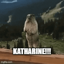 a ground squirrel is standing on its hind legs with the words katharine written on the bottom
