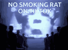 No Smoking Rat GIF - No Smoking Rat Tiktok GIFs