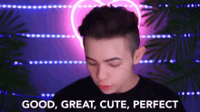Good Great Cute Perfect Nice GIF - Good Great Cute Perfect Nice Well Then GIFs