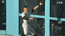 Aaron Judge GIF