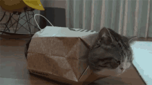 Here, Have A Catbag GIF