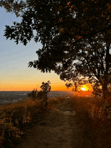 the sun is setting behind a tree and a path