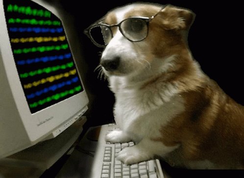 Hacker Pupper Dog GIF - Hacker Pupper Dog Hacker GIFs