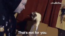 Thats Not For You Selfish GIF - Thats Not For You Selfish Angry GIFs