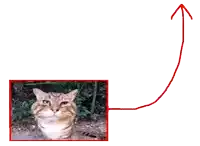 a drawing of a cat with a red arrow pointing up
