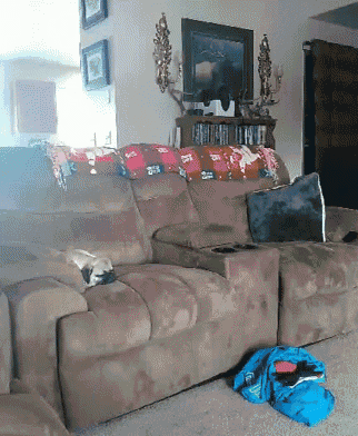 Bcouch Bcouch6 GIF - Bcouch Bcouch6 - Discover & Share GIFs