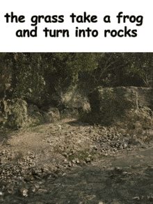 the grass take a frog and turn into rocks written on a picture of a river