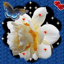 White Flower GIF - White Flower Butterfly GIFs