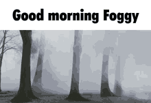 Good Night Foggy GIF - Good Night Foggy Lads GIFs
