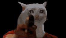 Pinkman Cat GIF - Pinkman Cat GIFs