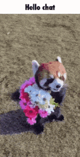 a red panda is holding a bouquet of flowers in its paws .