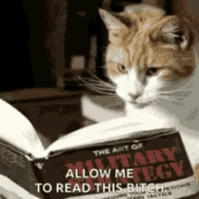 Cat Cat Reading GIF - Cat Cat Reading Allow Me GIFs