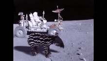 a tapir is walking on the moon next to a space vehicle .
