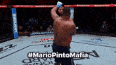 two men are fighting in a ring with a bud light banner on the side