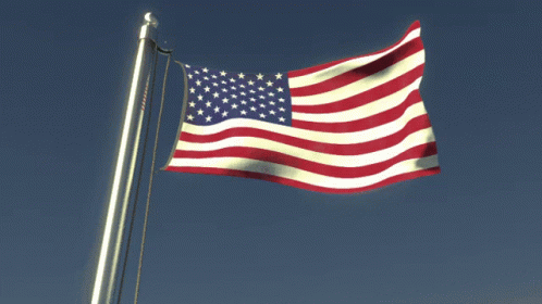 Usa Flag GIF - Usa Flag Flag Waver - Discover & Share GIFs