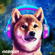 Djdoge Dogecoin GIF - Djdoge Doge Dogecoin GIFs