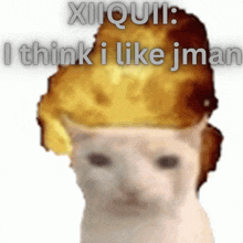 a cat with an explosion on its head and the words xiquii i think i like jman above it
