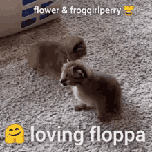 Floppa Slaytime GIF - Floppa Slaytime Froggirlperry GIFs
