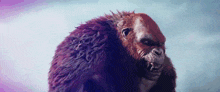 a close up of a giant gorilla with a purple background