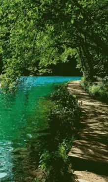 Dream About Summer GIF - Dream About Summer Beautiful Day GIFs