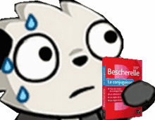 panda bescherelle besch scared panda bescherelle besch scared
