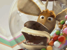 Open Season Sony Pictures Animation GIF - Open Season Sony Pictures Animation 2006 GIFs
