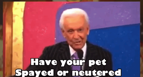 bob-barker-the-price-is-right.gif