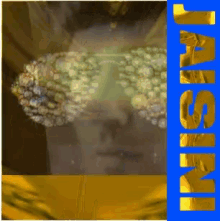 24k Gold Foil Paul Jaisini GIF