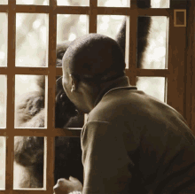 Petting Young Orphaned Gorillas See Their Adorable Bond With Park Rangers GIF