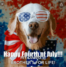 Happy Fourth Of July Dog GIF