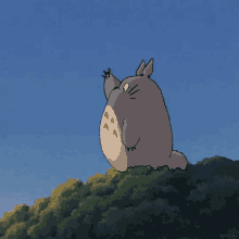 Totoro Anime GIF - Totoro Anime Animation GIFs
