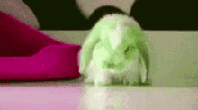 Bunny Sad GIF - Bunny Sad Green Bunny GIFs