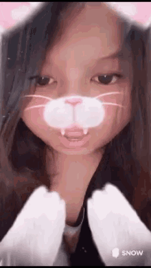 Snapchat Cat GIF - Snapchat Cat Cookie GIFs